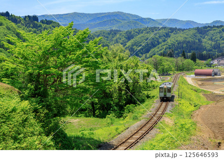 新緑の青倉地区を走り抜ける飯山線の気動車 125646593