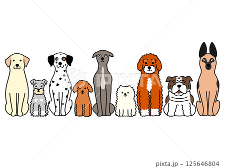 かわいい犬のボーダー 125646804