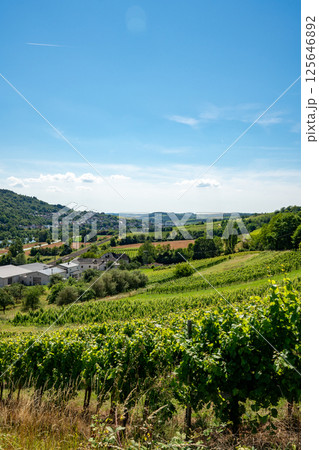 ドイツの田舎町と川の風景 ドイツの田舎町と川の風景 125646892