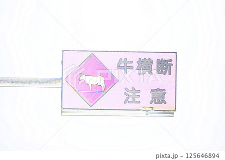 ”動物横断注意　”道路標識””　イラストイメージ 125646894