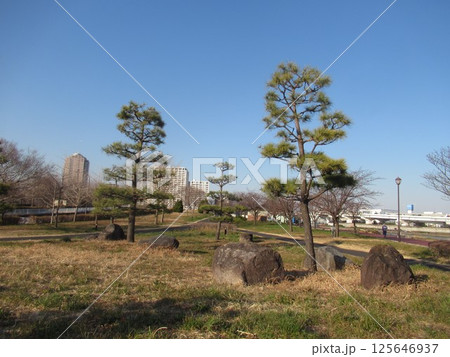 都立汐入公園 都立汐入公園 125646937