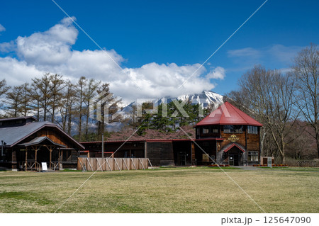 小岩井農場の春の訪れ 125647090