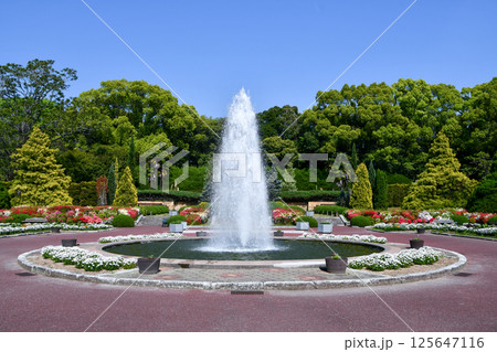 京都府立植物園　噴水　春 125647116
