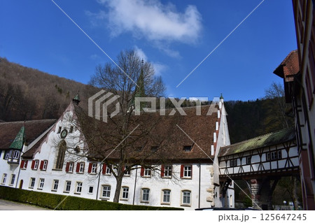 ブラウボイレンの木組み建築と教会（ドイツ） 125647245