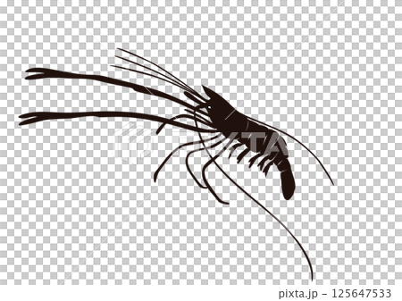 手長エビ　黒 125647533