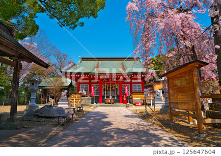 日和山公園の桜 125647604