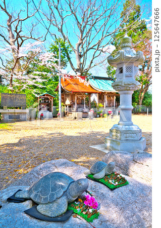 日和山公園の桜 日和山公園の桜 125647666