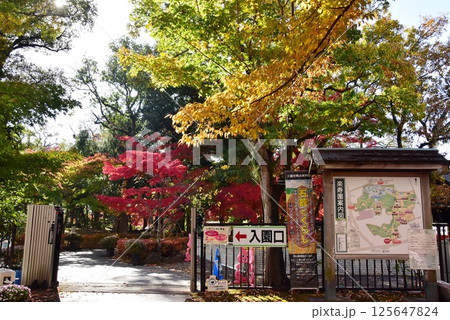 静岡県 三島市立公園楽寿園駅前入園口と紅葉 静岡県 三島市立公園楽寿園駅前入園口と紅葉 125647824