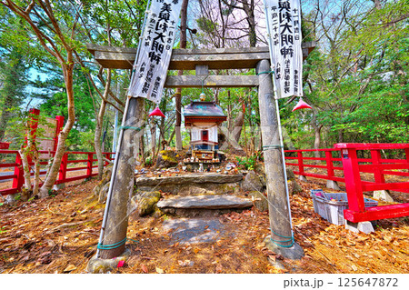 春の田代島 春の田代島 125647872