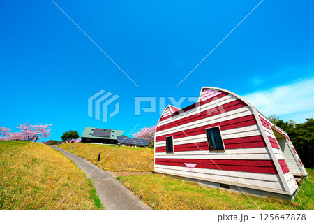 春の田代島 125647878