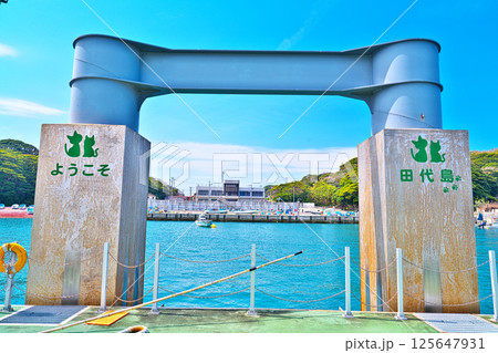 春の田代島 125647931