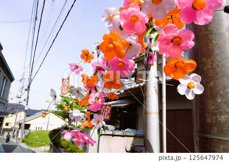 商店街の飾り花 商店街の飾り花 125647974