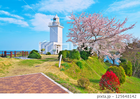 春の大須崎灯台 春の大須崎灯台 125648142