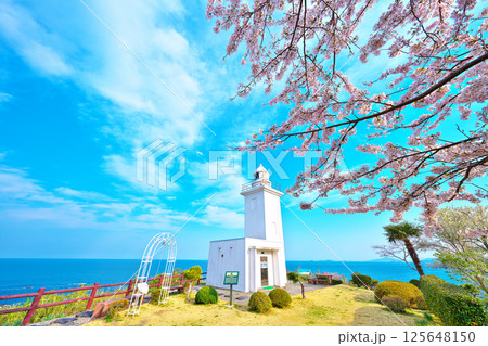 春の大須崎灯台 春の大須崎灯台 125648150