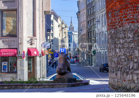 ヴィリニュス歴史地区 125648196