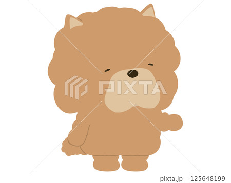 案内をするチャウチャウ 125648199