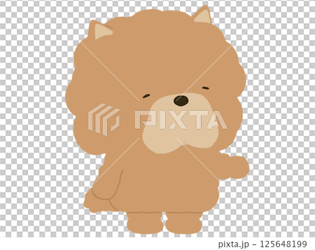 案内をするチャウチャウ 125648199