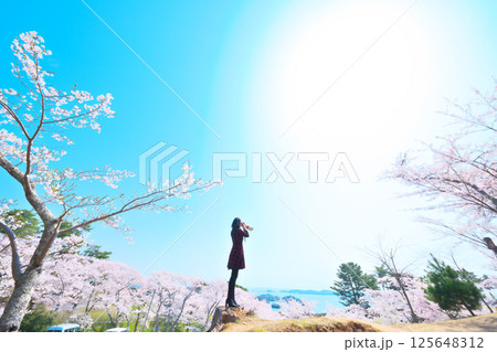 春の西行戻しの松 125648312