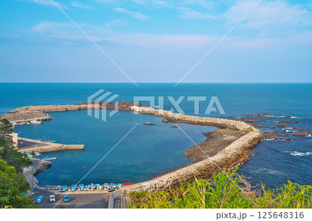 大須崎灯台から大須漁港をのぞむ 125648316