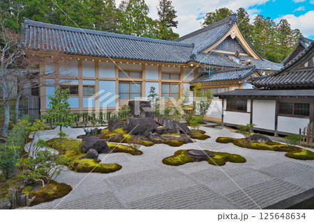 春の瑞巌寺 125648634