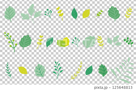 葉向量插圖集 125648813
