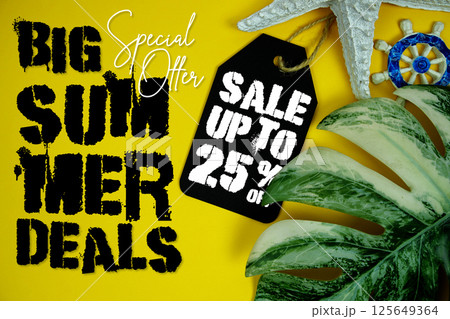 Big Summer Sale 25% Promotion Offer Discount Retail Shopping Concept Big Summer Sale 25% Promotion Offer Discount Retail Shopping Concept 125649364