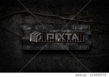 Abandoned window with rusty iron bars, surrounded by brick walls and vines. 125649778