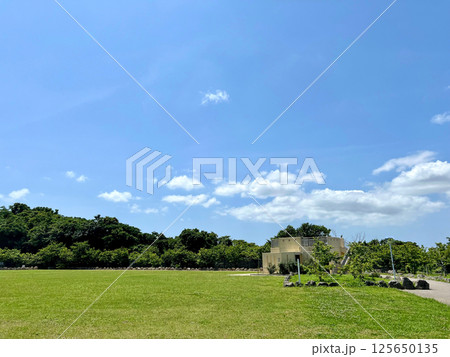 晴天の公園と青空の風景(建物付き) 晴天の公園と青空の風景(建物付き) 125650135