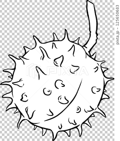 Chestnut Nut Outline Illustration Chestnut Nut Outline Illustration 125650683