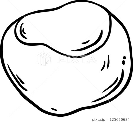 Chestnut Nut Outline Illustration Chestnut Nut Outline Illustration 125650684
