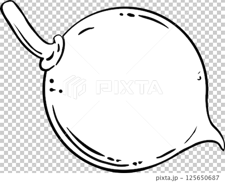 Macadamia Nuts  Colored Detailed Illustration. 125650687