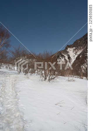4月の那須岳登山道の風景 125650885