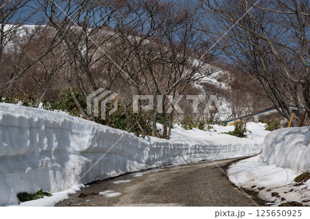 4月の栃木県那須山登山口周辺の風景 4月の栃木県那須山登山口周辺の風景 125650925