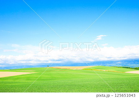 青空と爽やかな初夏の北海道らしい風景 125651043
