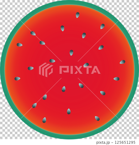 Watermelon round cross section illustration 125651295
