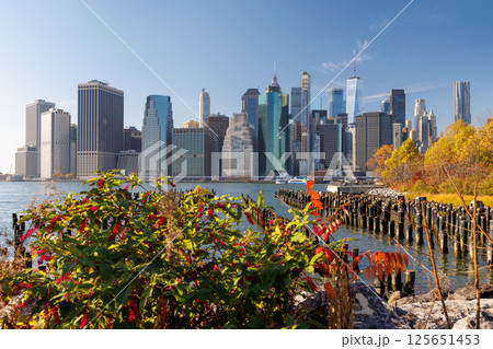 The New York Manhattan skyline during autumn 125651453
