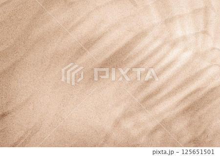 A tropical summer background featuring soft beach sand with delicate palm leaf shadows 125651501