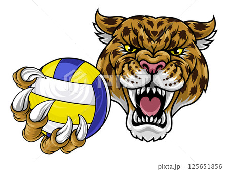 Jaguar Leopard Cheetah Panther Volleyball Mascot Jaguar Leopard Cheetah Panther Volleyball Mascot 125651856