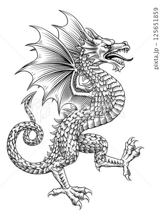 Heraldry Wyvern Heraldic Coat of Arms Dragon Heraldry Wyvern Heraldic Coat of Arms Dragon 125651859