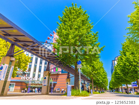 日本の横浜都市景観 センター北駅前、都築阪急の観覧車などを望む 125652383