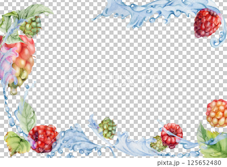 Raspberry berries leaves flying in water splash, dew drops, ripe garden dewberry cloudberry mulberry loganberry tayberry hand drawn in watercolor. Isolated border corner frame. Menu, farmers market 125652480