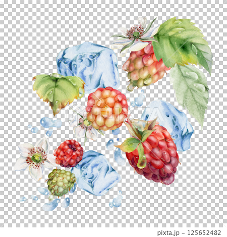 Raspberry ripe garden berries flying in water splash leaves flowers, ice cubes, dew drops, fresh dewberry cloudberry mulberry loganberry. Isolated illustration hand drawn in watercolor. Drinks grocery Raspberry ripe garden berries flying in water splash leaves flowers, ice cubes, dew drops, fresh dewberry cloudberry mulberry loganberry. Isolated illustration hand drawn in watercolor. Drinks grocery 125652482