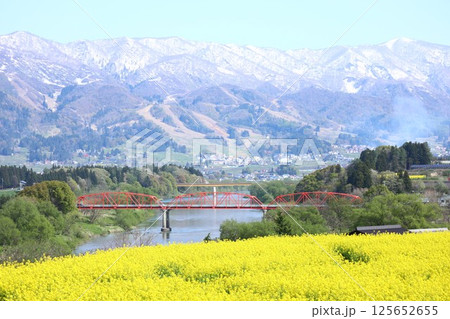 長野県飯山市の菜の花畑と千曲川にかかる赤い橋 長野県飯山市の菜の花畑と千曲川にかかる赤い橋 125652655