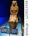 ラムセス大王 125652936