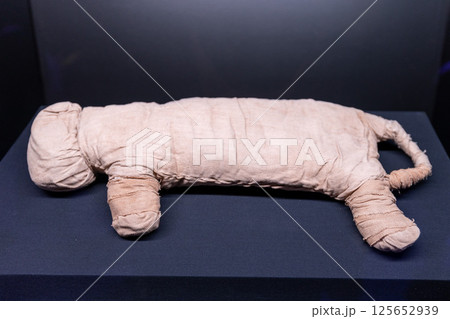 ラムセス大王 125652939