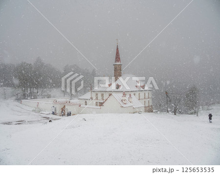 Gatchina Priory Palace in spring. Heavy snowfall Gatchina Priory Palace in spring. Heavy snowfall 125653535