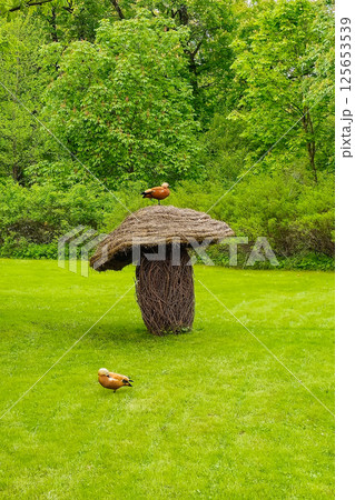 large mushroom made of twigs and vines 125653539