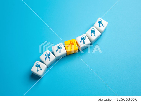 Keys to choose from. Concept of choosing and buying a home or car. Open a business. Important life choices Keys to choose from. Concept of choosing and buying a home or car. Open a business. Important life choices 125653656