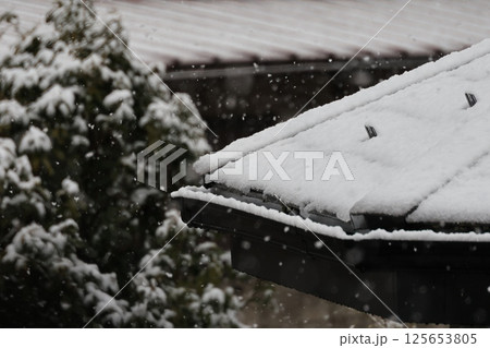 しんしんと降り積もる雪景色 しんしんと降り積もる雪景色 125653805