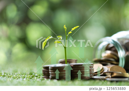 Concept of green finance flourishing businesses invest money and coins into sustainable ventures, nurturing growth of nature-friendly projects and ensuring prosperous future. green finance growth. 125653880